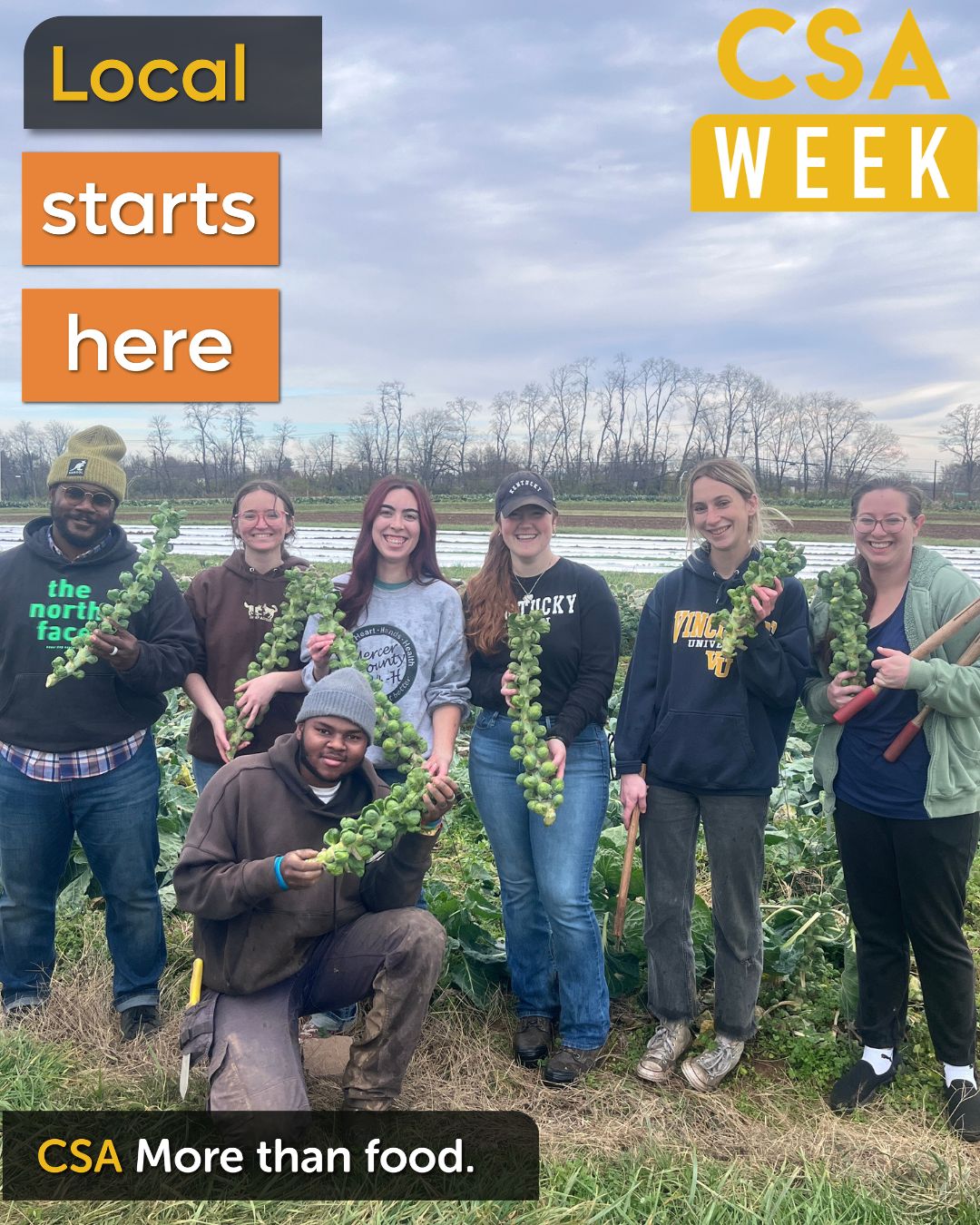 Local eating starts here at UK CSA