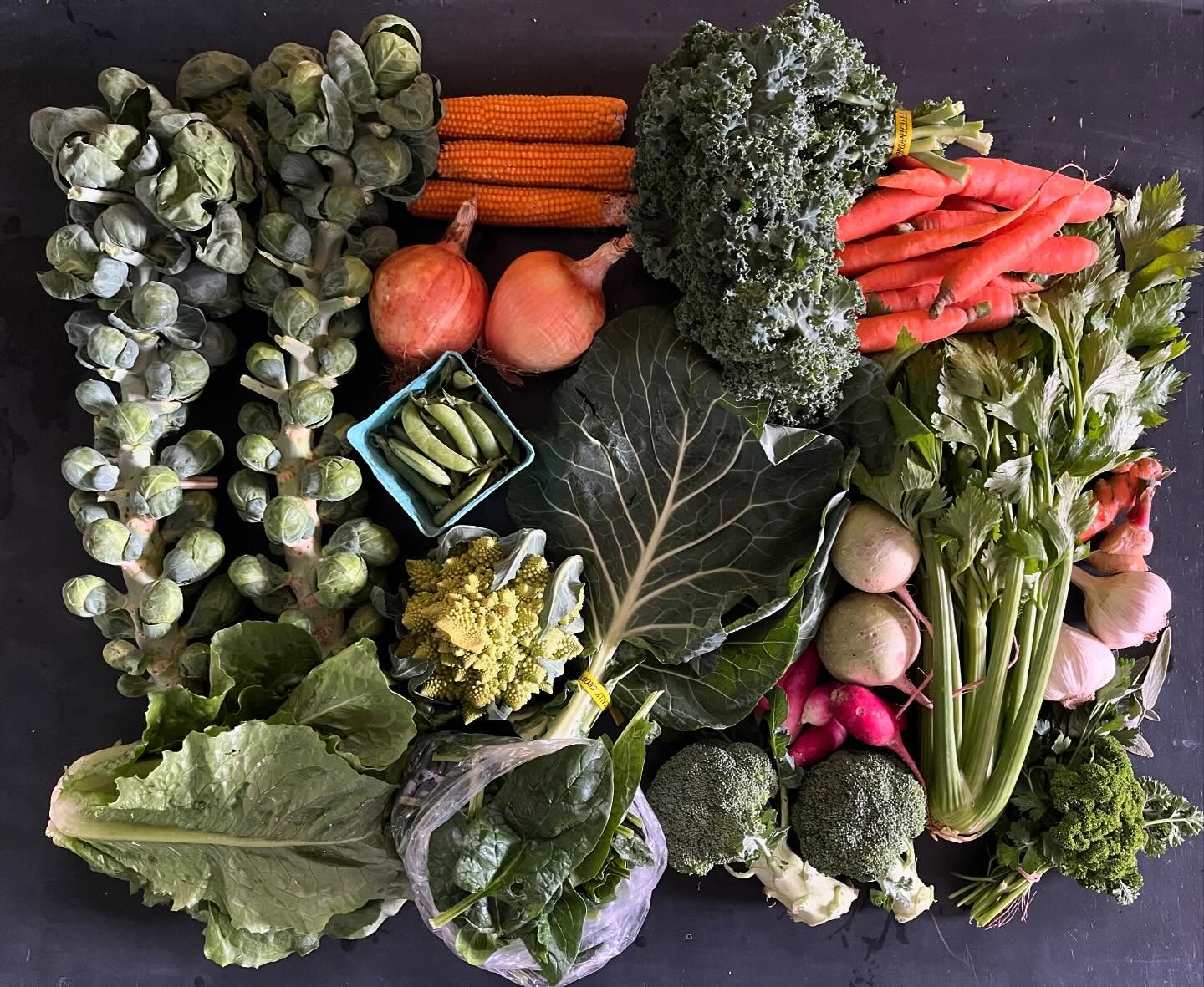 Vegetables in the Fall Greens Box
