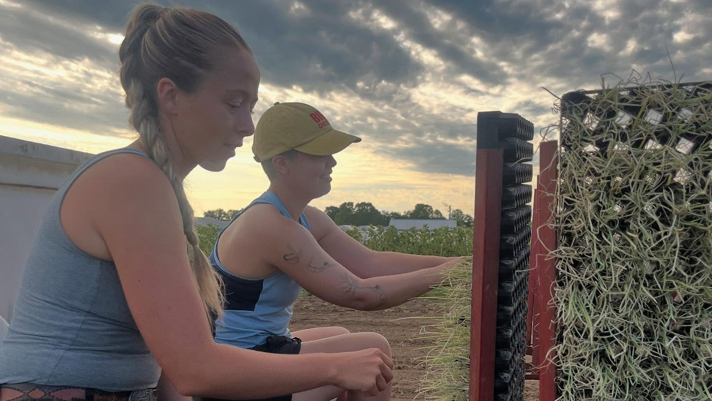 Two workers finish fall plantings