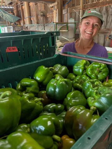 A worker with a box of green bell peppers