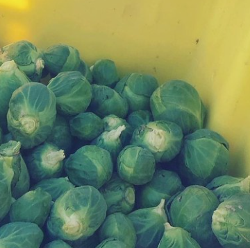 Brussels sprouts