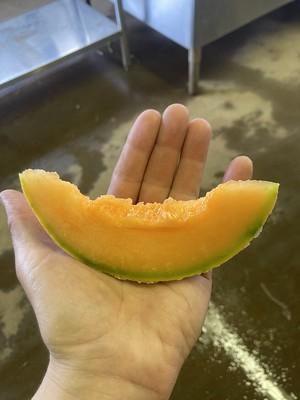 Slice of cantaloupe in a hand