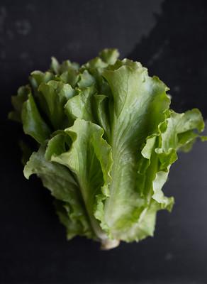 Lettuce